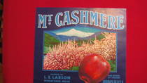 Mt. Cashmere