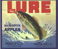 Lure