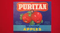 Puritan