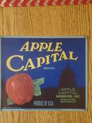 Apple Capital Wen Jim Hill Blockout