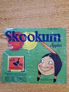 Skookum AFG Ninth ST Green Fancy Apples One bushel 