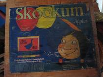 Skookum Blue Goose AFG block out