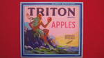 Triton