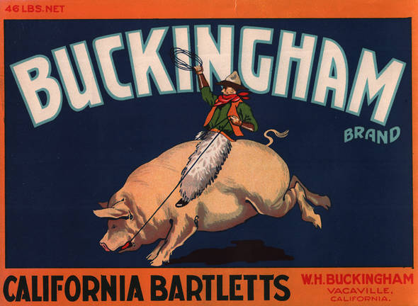 Buckingham Fruit Crate Label