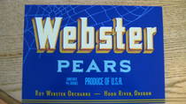 Webster Ochards
