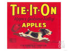 Tie-It-On Red