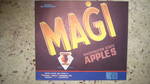 Magi