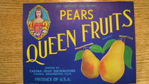 Queen Fruits