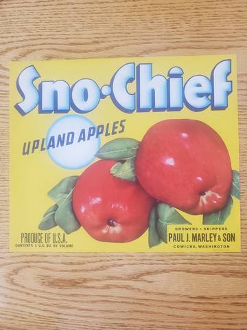 Sno-Chief Yellow Fruit Crate Label