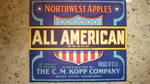 All American Net Weight 40 lbs Gray
