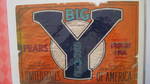 Big Y no weight