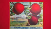 Northwest Apples