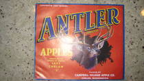 Antler Campbell Hi-Land