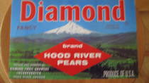 Diamond Fancy