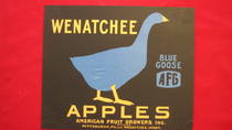Wenatchee Apples
