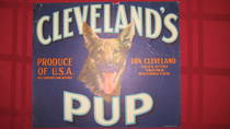Cleveland's Pup