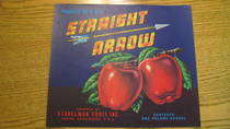 Straight Arrow