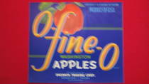 O-Fine-O