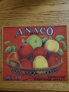 Anaco Portland Small Contents