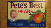 Pete's Best