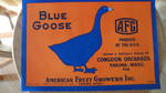 Blue Goose