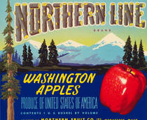 Northern Line
