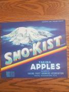 Blue Snokist Blue Print