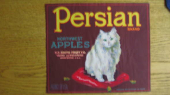 Persian Cat Brown Border Fruit Crate Label