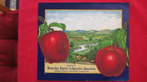 Wenatchee District Co-Op