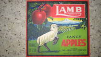Lamb