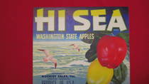 Hi Sea