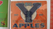 Big Y