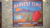 Harvest Time