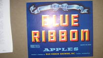 Blue Ribbon 