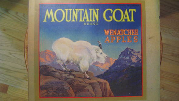 Mountain Goat Wenatchee Skookum 1922 Fruit Crate Label