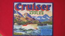Cruiser