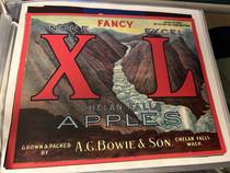 XL