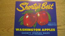 Shorty's Best