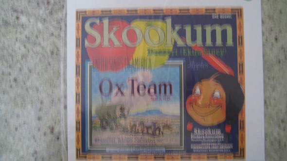 Skookum OX Team XF USA Apples Fruit Crate Label