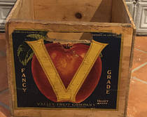 V Brand