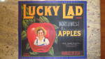 Lucky Lad