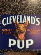 Cleveland's Pup No Weight ST LR