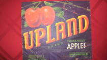 Upland Crocker 0