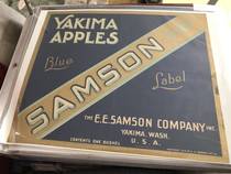 Samson