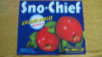 Sno-Chief