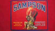 Sampson