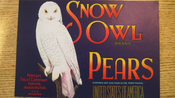 Snow Owl Fruit Crate Label