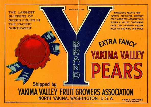 Big Y N Yakima Fruit Crate Label