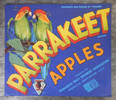Parrakeet