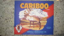 Cariboo